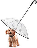 Dog Umbrella