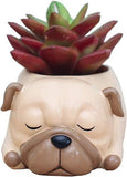 Pug Flowerpot