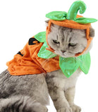 Cat Pumpkin Costume