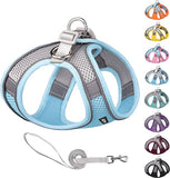 Dog Harness