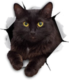 3D Cat Stickers