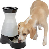 Dog Food & Water Stations