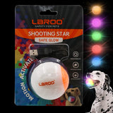 LED Dog Ball