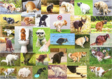 Pooping Dogs Jigsaw Puzzles